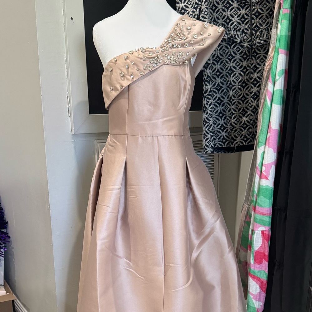 Elegant Blush One-Shoulder Gown